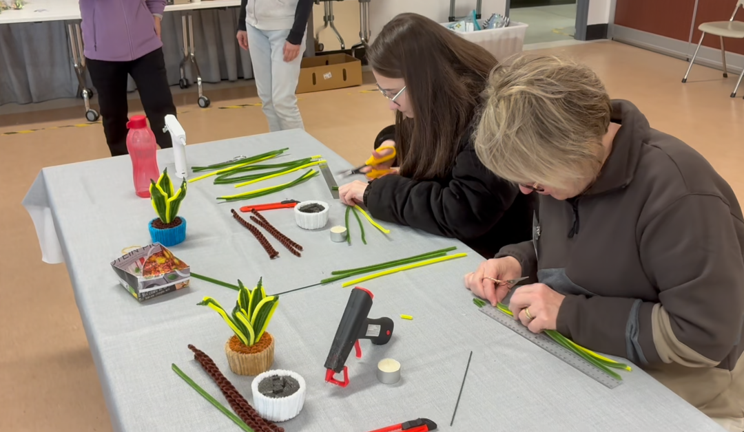 September Workshop Recap: Crafting Snake Plants